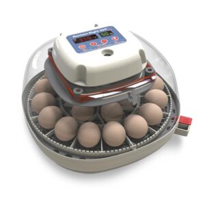 Harris Farms Nurture Right Egg Incubator for Hatching Chicks,